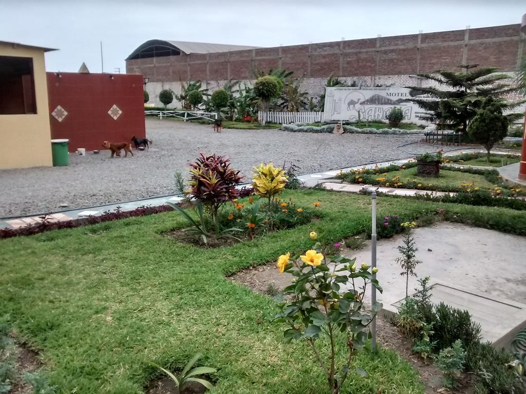 Motel Sahara Suites Barranca Exterior photo